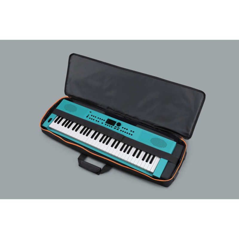Roland Others 61 Cb-V61