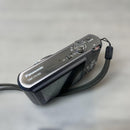 Panasonic Digital Cameras Dmc-Fx100 Lumix