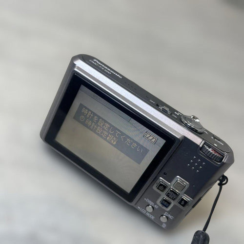 Panasonic Digital Cameras Dmc-Fx100 Lumix