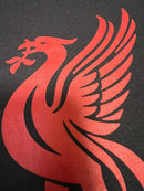 Nike Other Liverpool Fc T