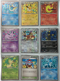 Pokemon Card Game