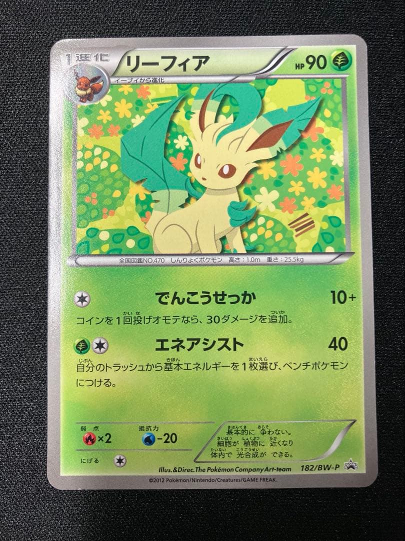 Pokemon Card Game