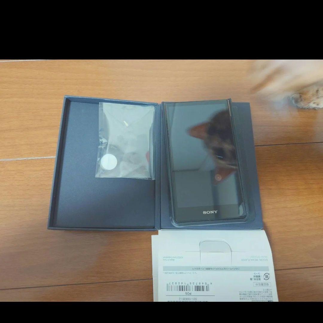 Digital Audio Players Nw-Zx707