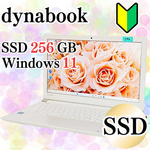Toshiba Windows Laptops Ssd256Gb Dynabook Onkyo