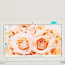 Toshiba Windows Laptops Ssd256Gb Dynabook Onkyo