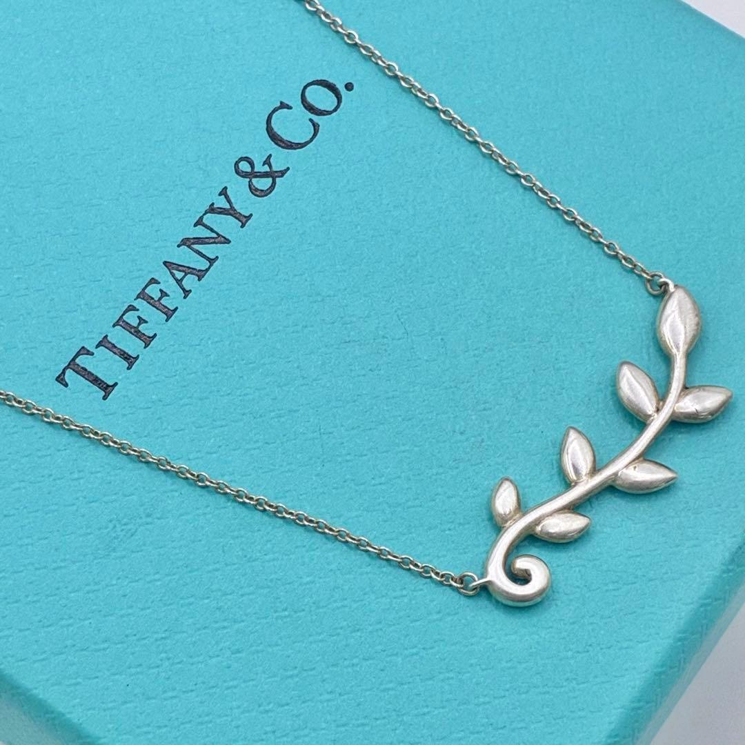 Tiffany Necklaces