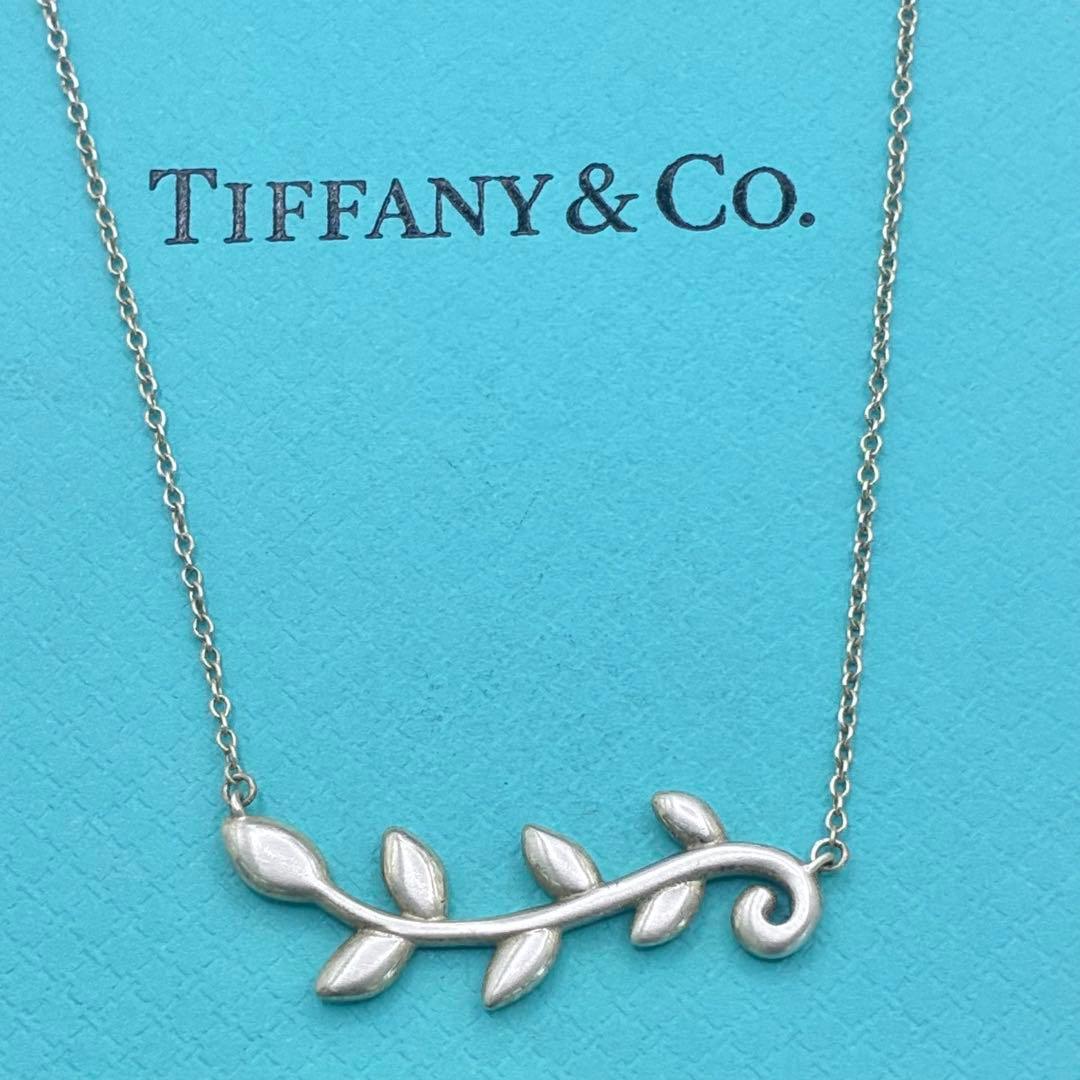 Tiffany Necklaces