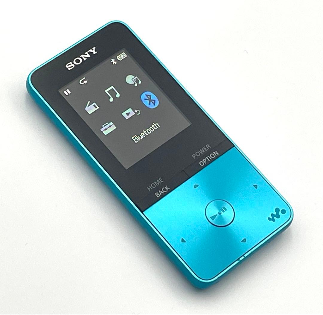 Sony Digital Audio Players Walkman Nw-S313 4Gb