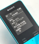 Sony Digital Audio Players Walkman Nw-S313 4Gb