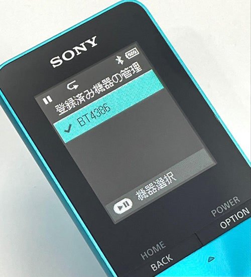 Sony Digital Audio Players Walkman Nw-S313 4Gb
