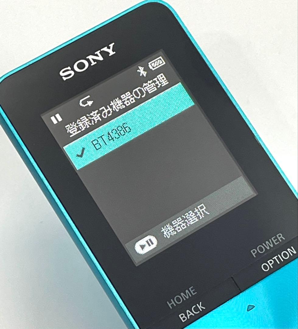 Sony Digital Audio Players Walkman Nw-S313 4Gb