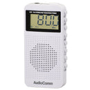 Sports Audiocomm Dsp Fm Rad-P390Z-K 07-9815 1