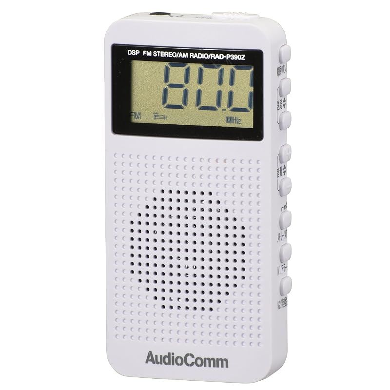 Sports Audiocomm Dsp Fm Rad-P390Z-K 07-9815 1