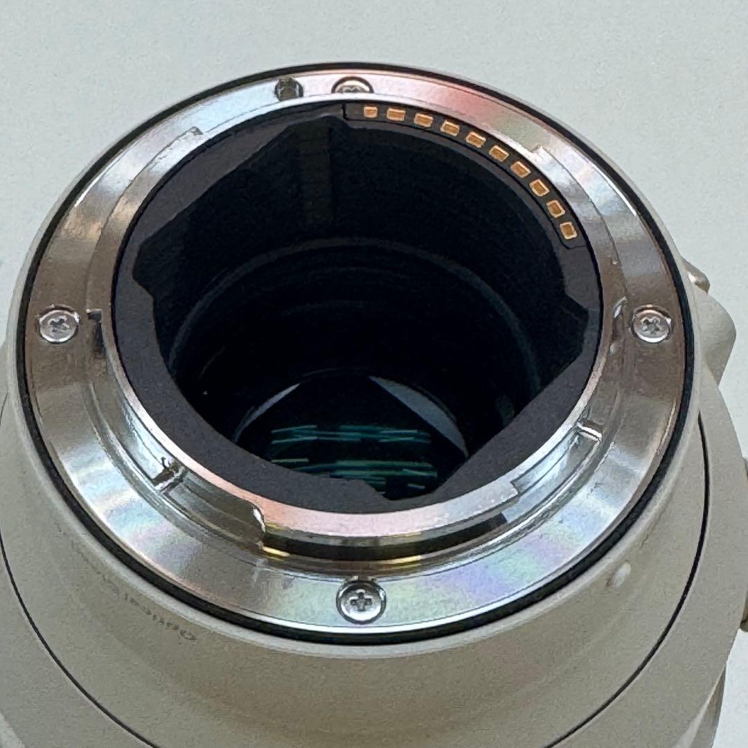 Sony Lens (Zoom) Fe 2.8/70-200 Gm Oss