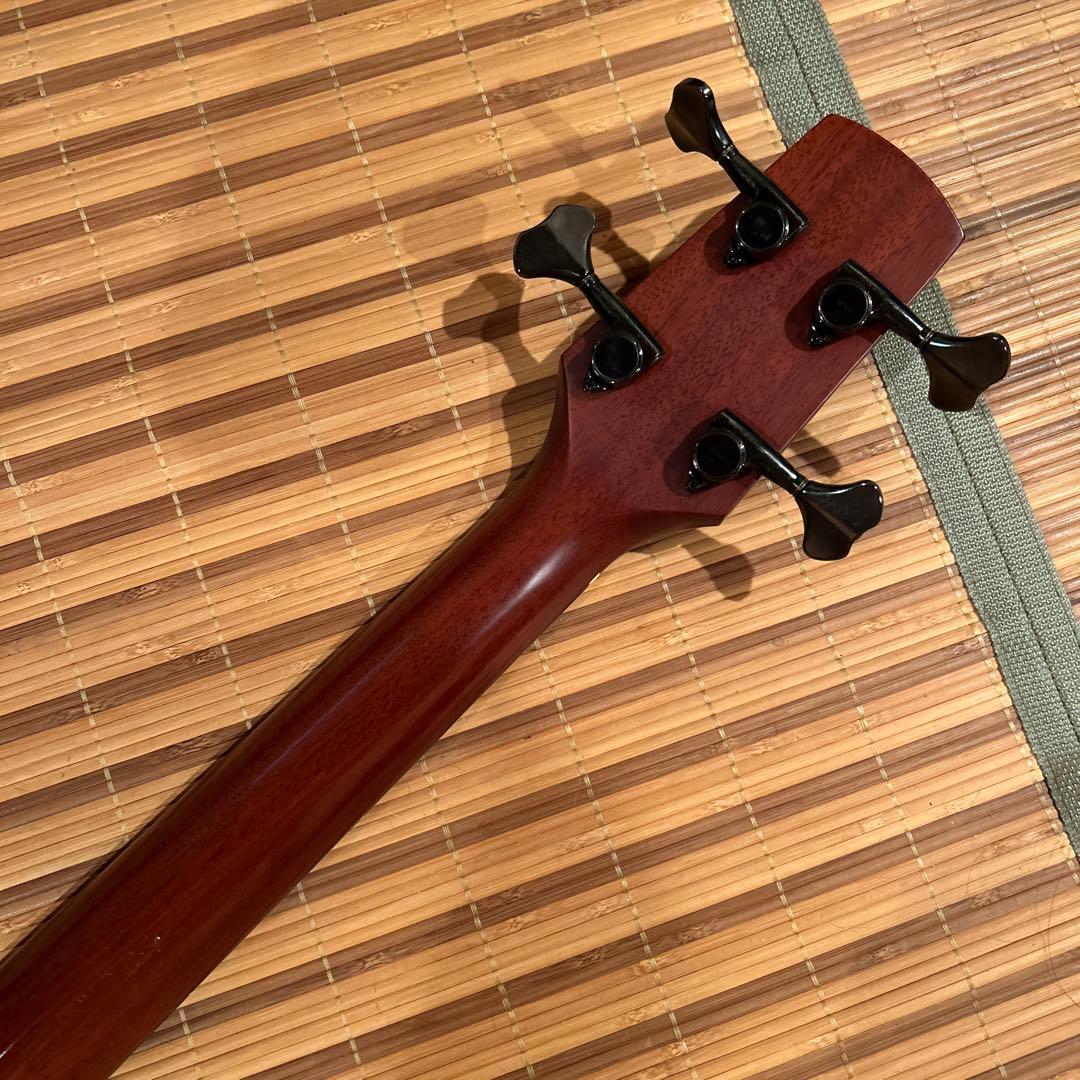K.Yairi Acoustic Basses Yb-13E