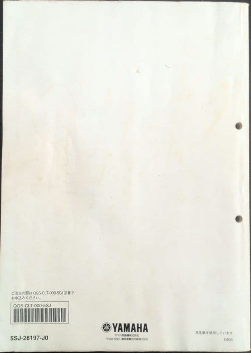 Catalogs Manuals Yamaha Yp250S