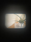Compact Cameras (Film) Fujifilm Tiara Zoom