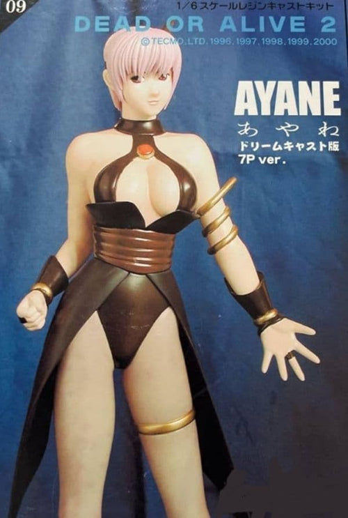Game Characters Apfsds Dead Or Alive 1/6