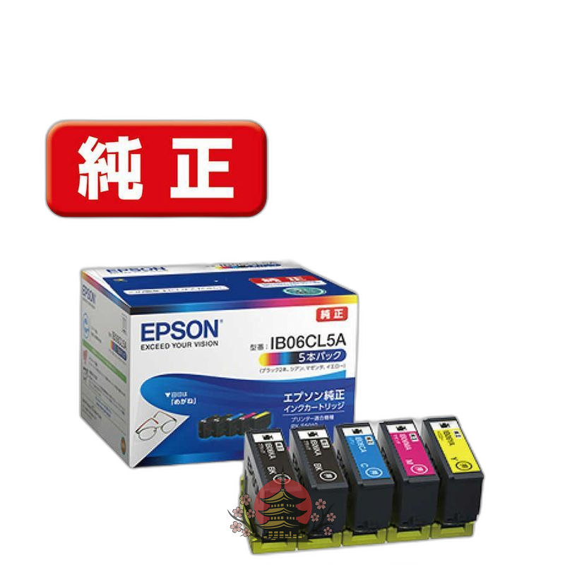 Epson Ink Cartridge/Refilled Ib06Cl5A