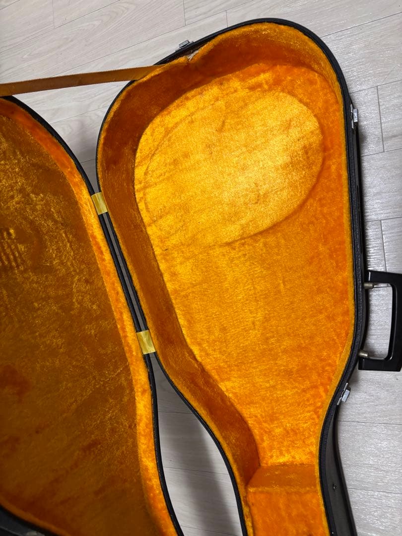 Yamaha Guitar Cases