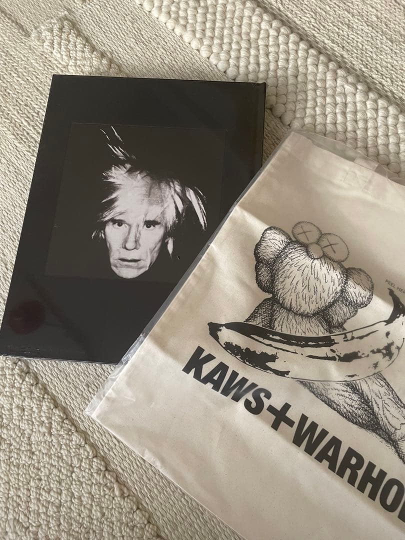 Art Design Music Uniqlo Kaws