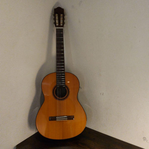 Yamaha Classical Guitars Cg101A