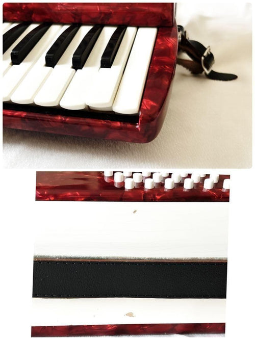 Yamaha Accordions Ya-18 8905