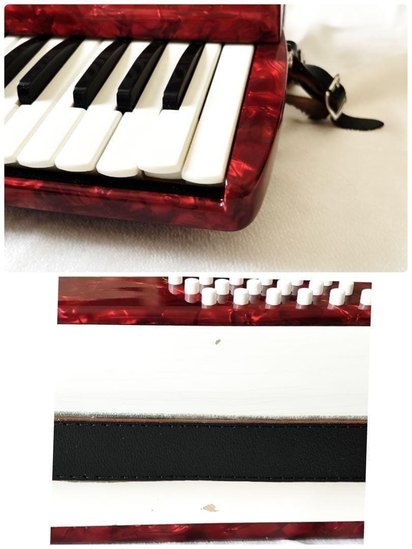 Yamaha Accordions Ya-18 8905