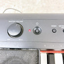 Yamaha Keyboards Digital Pianos Piaggero Np-11