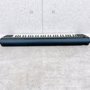 Yamaha Keyboards Digital Pianos Piaggero Np-11