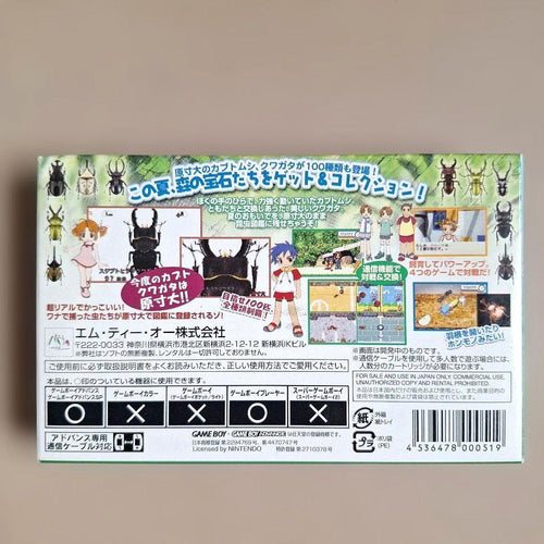 Nintendo Games Gba