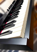 Roland Keyboards Digital Pianos Rd-88