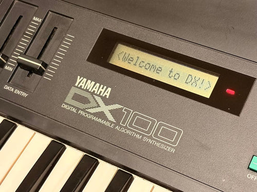 Yamaha Other Dx100
