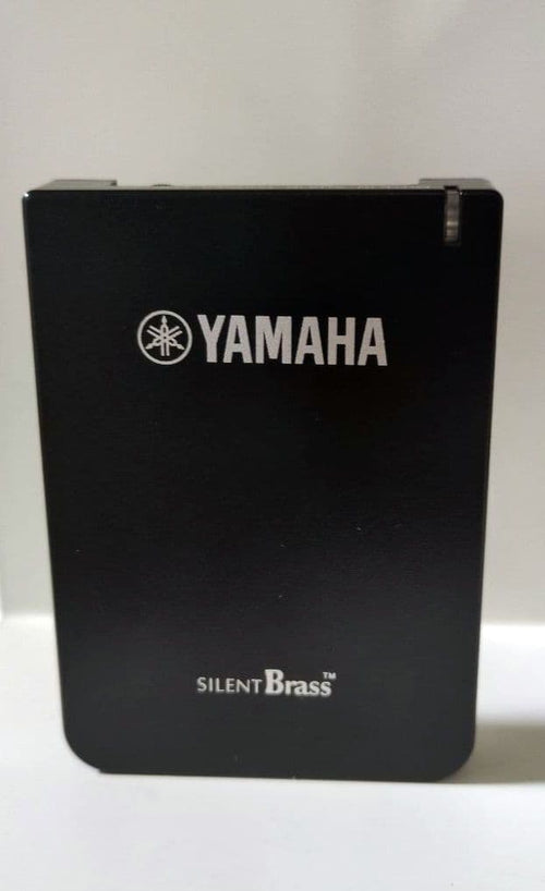 Yamaha Other Stx-2