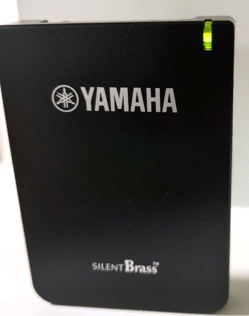 Yamaha Other Stx-2