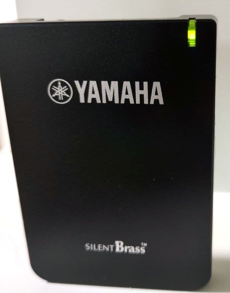 Yamaha Other Stx-2