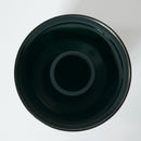 Lens (Single Focus) Reflex-Nikkor-C 1:8 F=