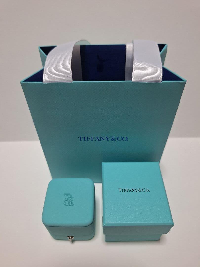 Tiffany Accessory Cases