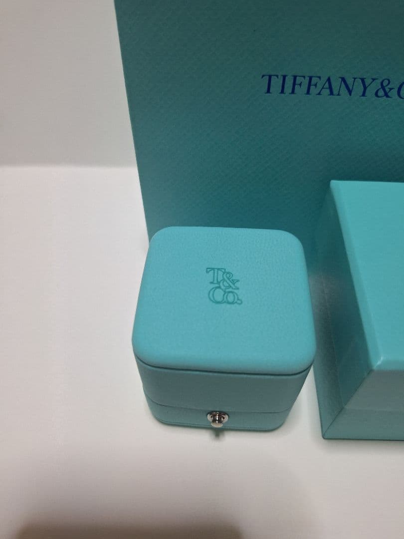 Tiffany Accessory Cases