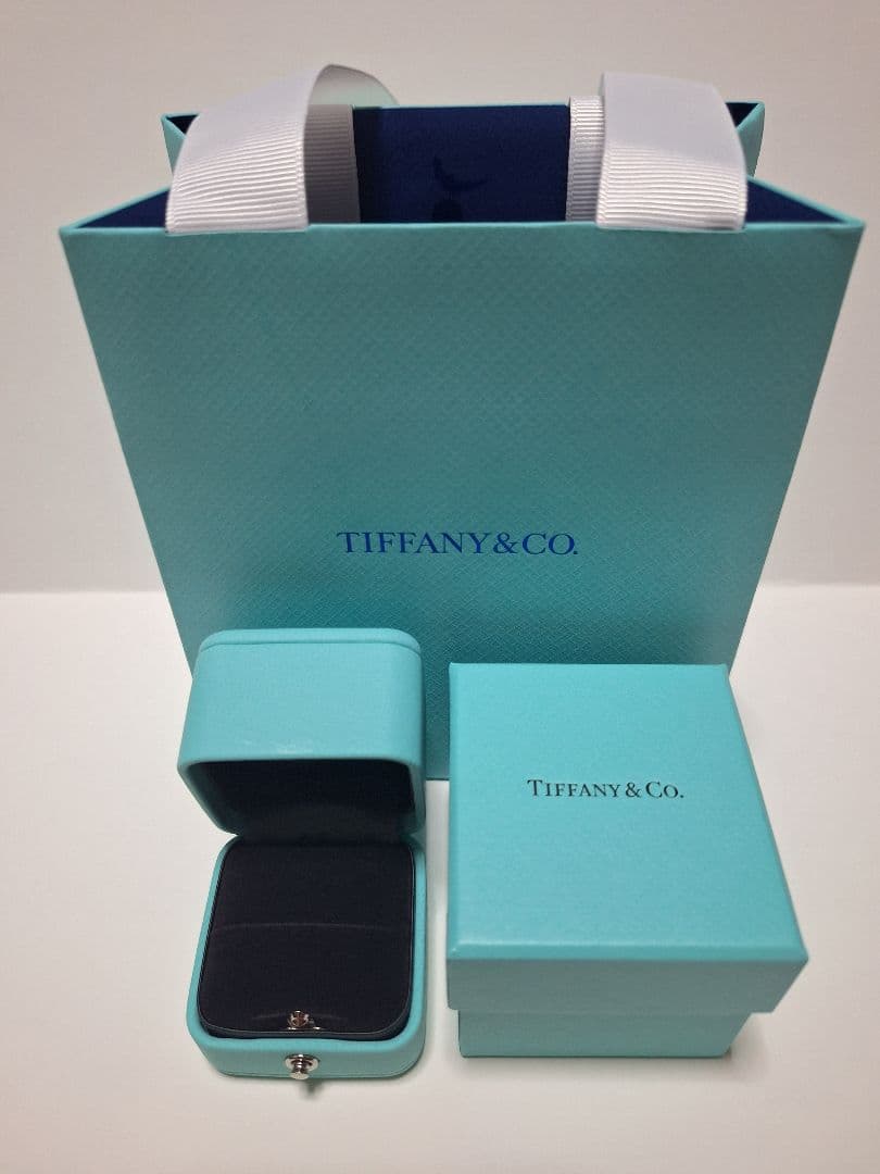 Tiffany Accessory Cases