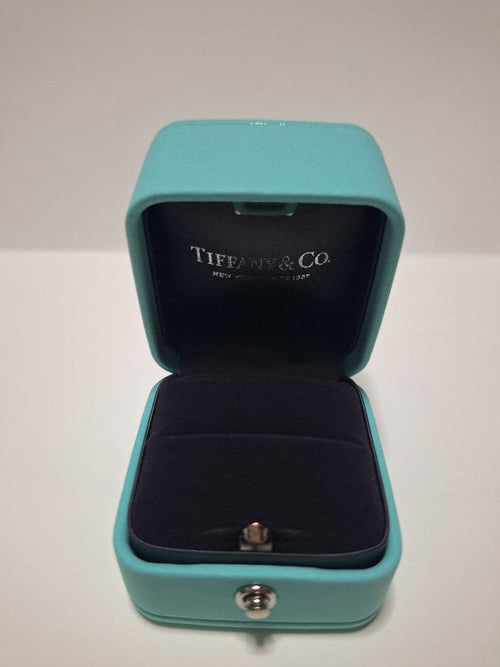 Tiffany Accessory Cases