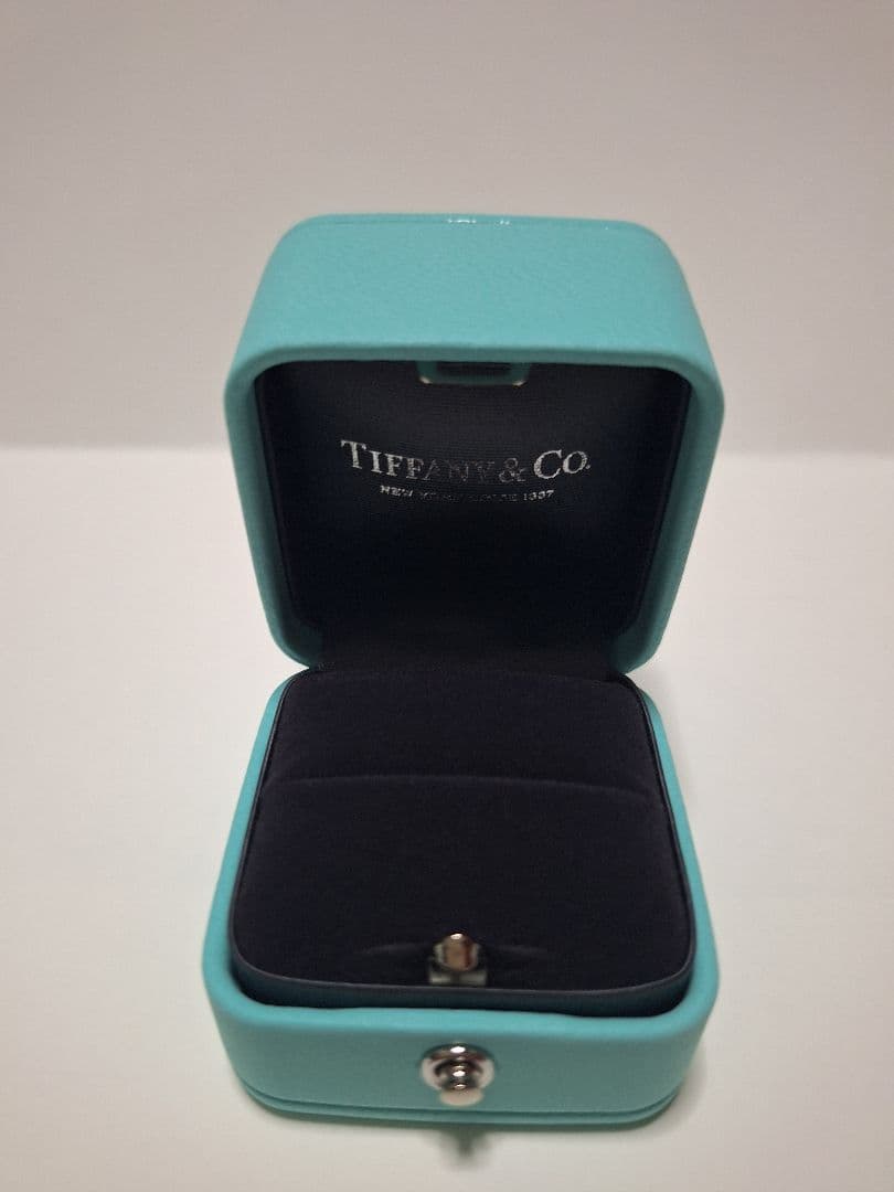 Tiffany Accessory Cases