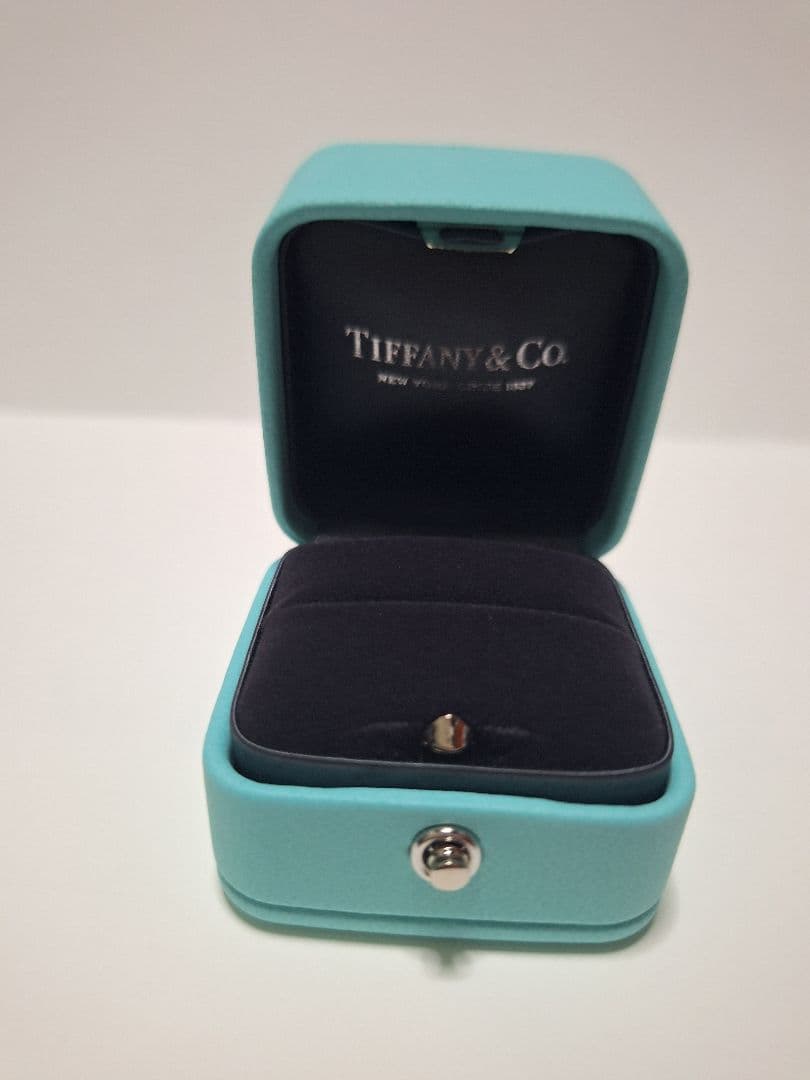 Tiffany Accessory Cases