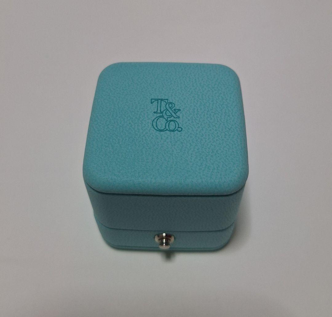Tiffany Accessory Cases