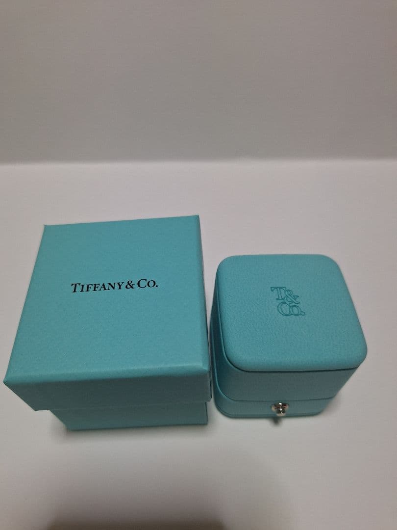 Tiffany Accessory Cases