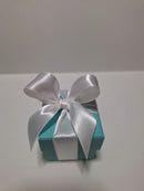 Tiffany Accessory Cases