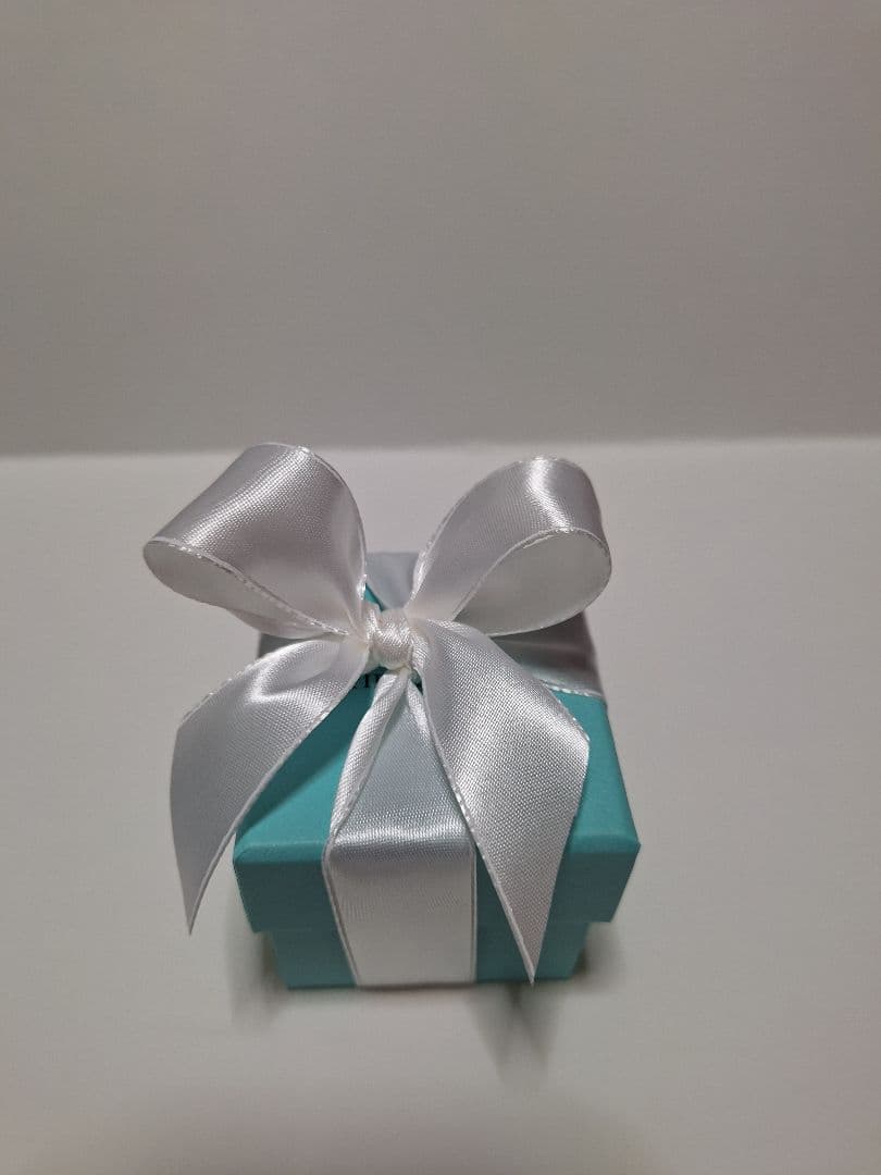 Tiffany Accessory Cases