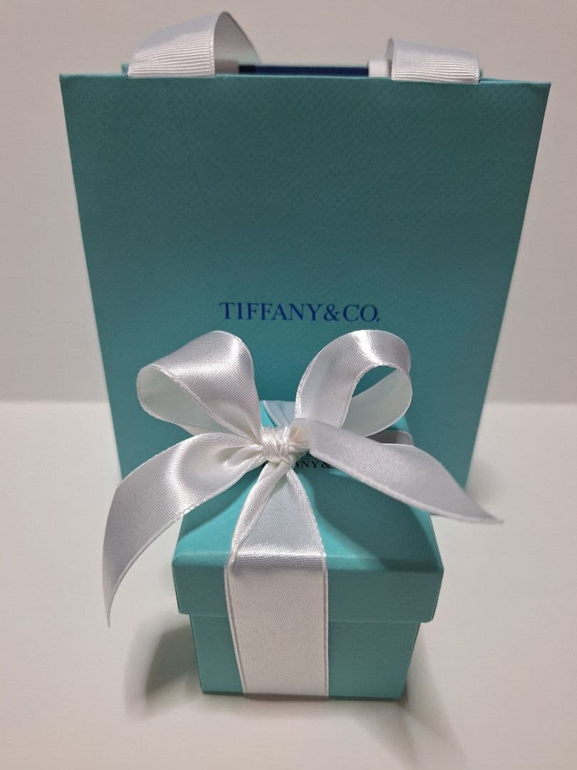 Tiffany Accessory Cases