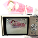 Panasonic Compact Digital Cameras Lumix Dmc-Fx35
