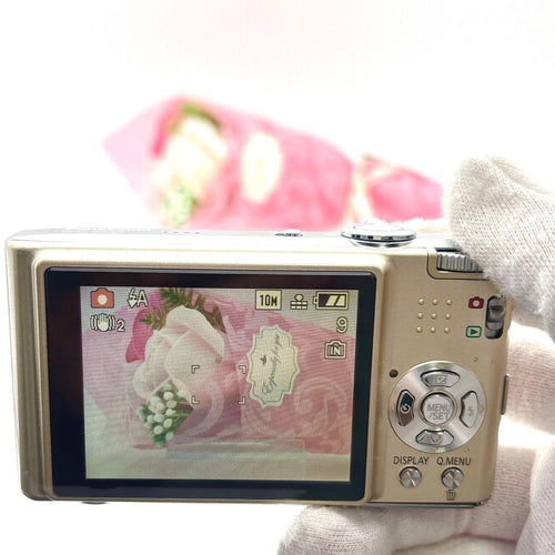 Panasonic Compact Digital Cameras Lumix Dmc-Fx35